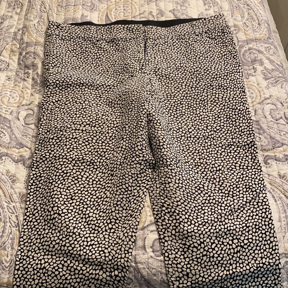 Lane Bryant pants